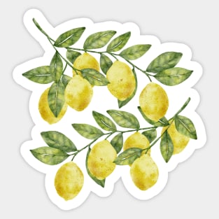 Yellow summer watercolor lemons with green leaves citrus illustration Sticker